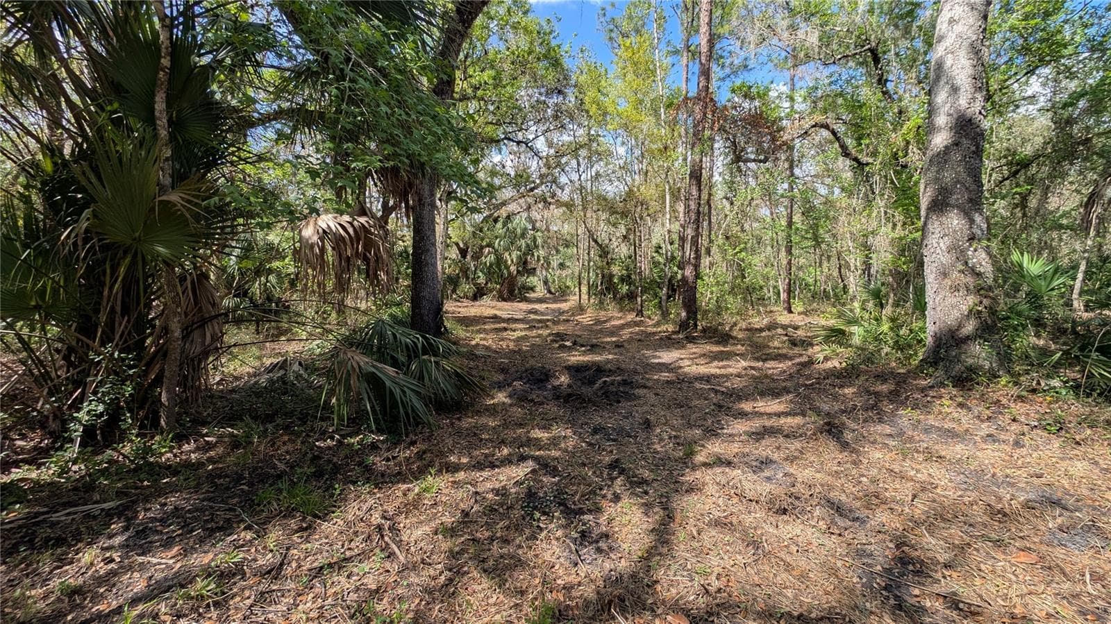 Land at GILLETTE RD, ZOLFO SPRINGS, photo 48 of 86