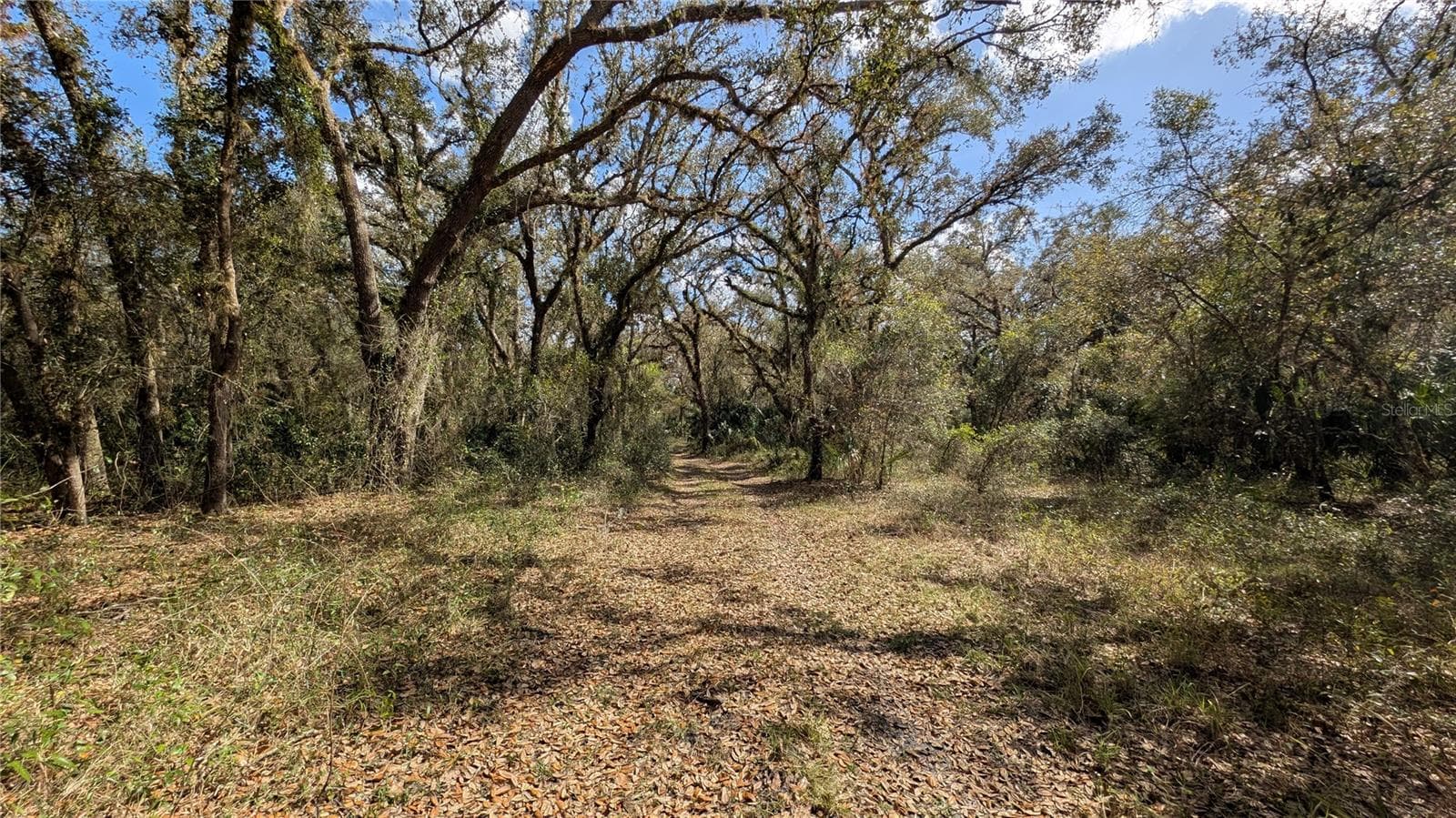 Land at GILLETTE RD, ZOLFO SPRINGS, photo 49 of 86