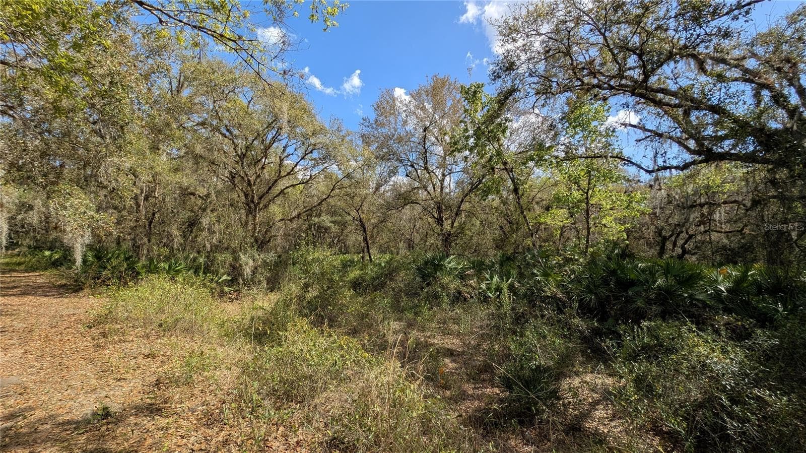 Land at GILLETTE RD, ZOLFO SPRINGS, photo 55 of 86