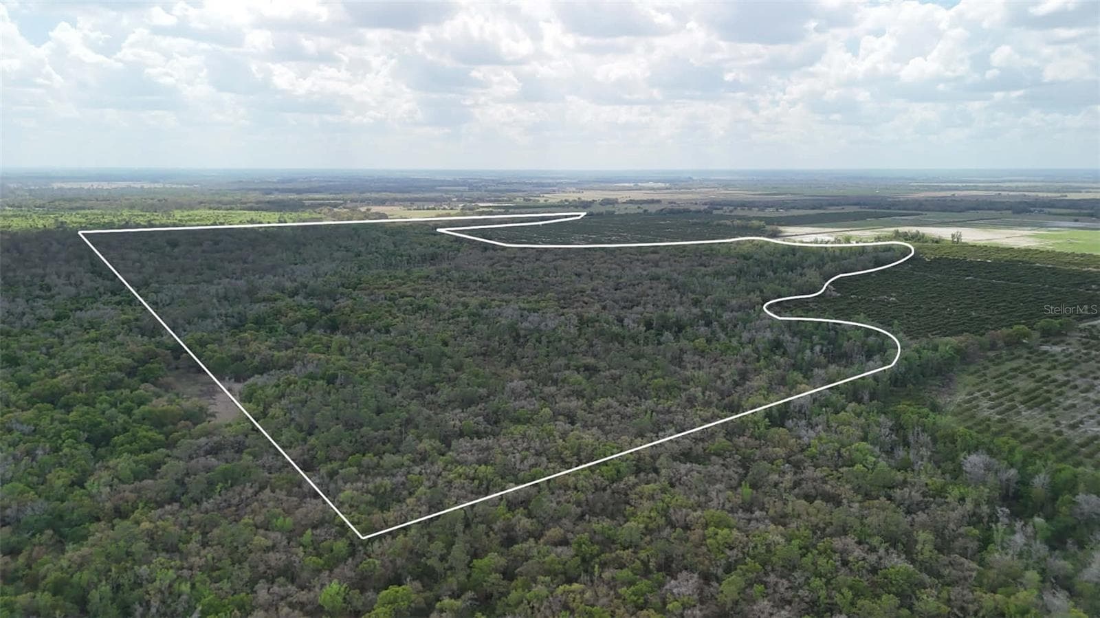 Land at GILLETTE RD, ZOLFO SPRINGS, photo 63 of 86