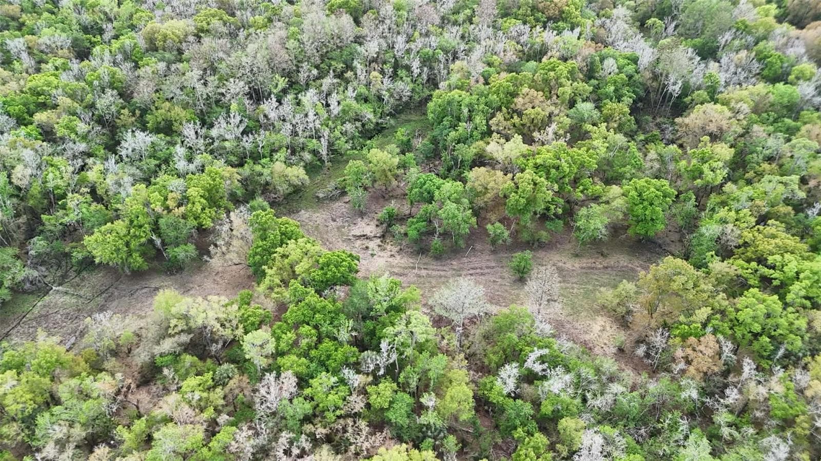 Land at GILLETTE RD, ZOLFO SPRINGS, photo 67 of 86
