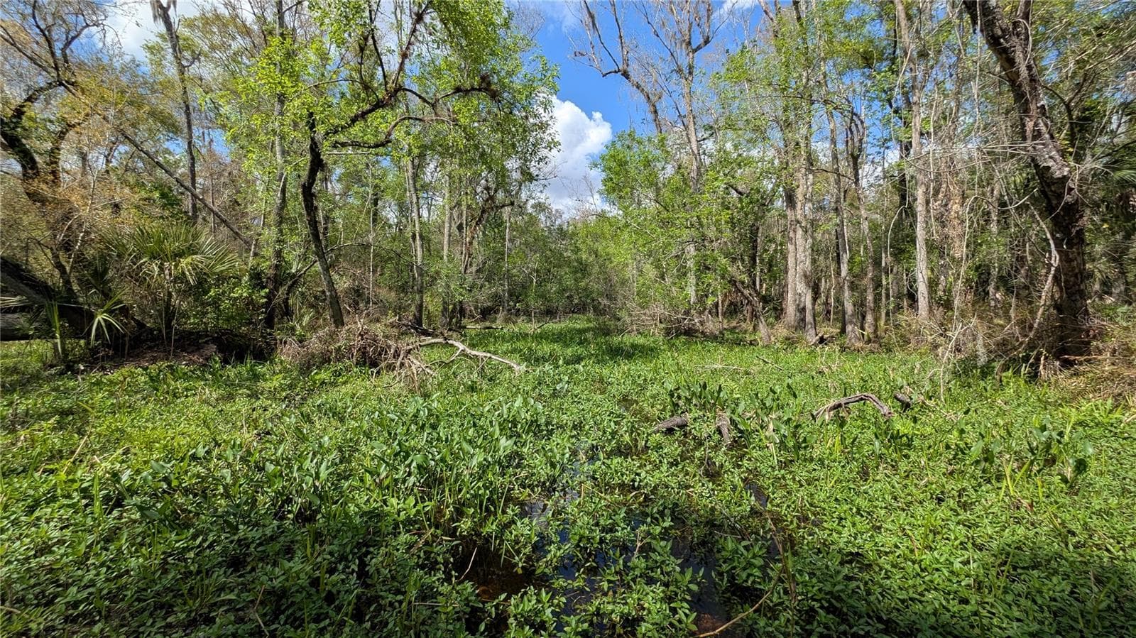 Land at GILLETTE RD, ZOLFO SPRINGS, photo 68 of 86