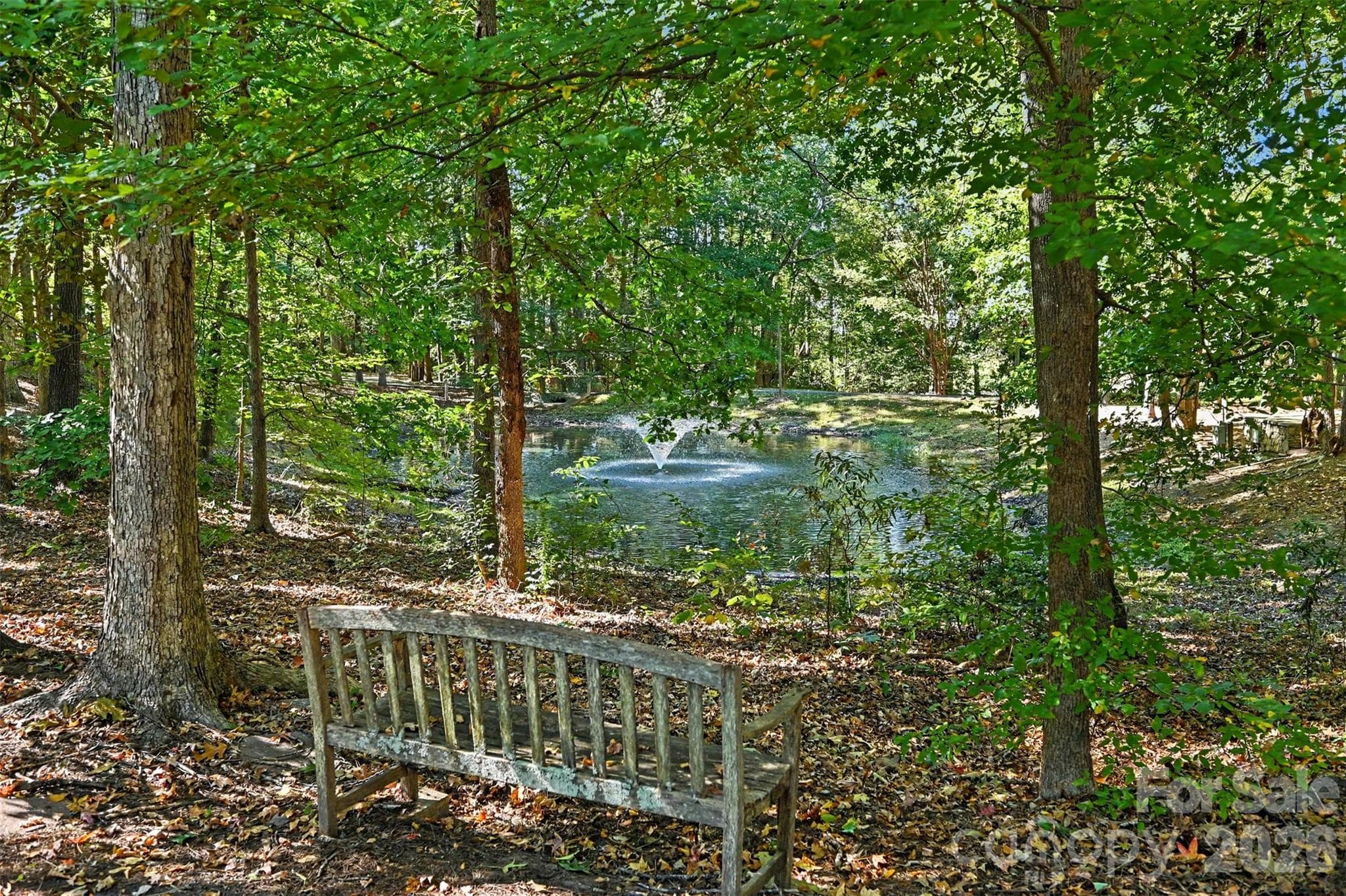 pond and trail in neighborhood - 129 Shade Tree Circle, Fort Mill