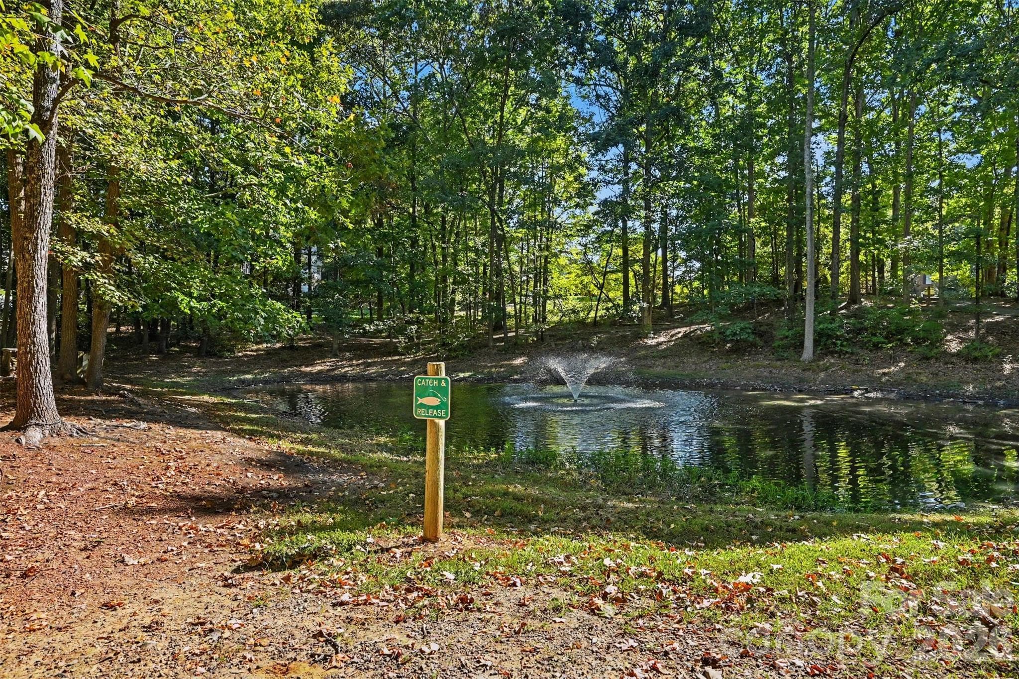 pond and trail in neighborhood - 129 Shade Tree Circle, Fort Mill