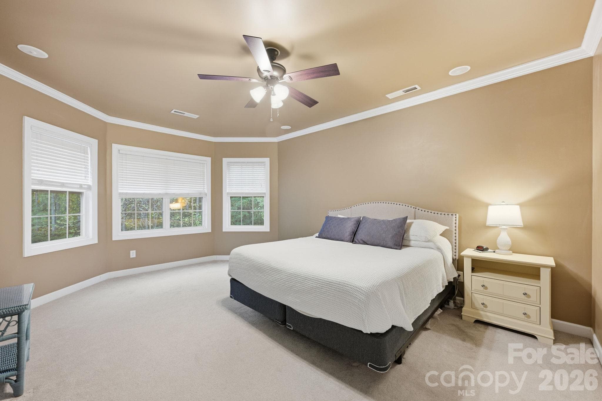 Large Primary Suite - 5704 Snapdragon Lane, Huntersville