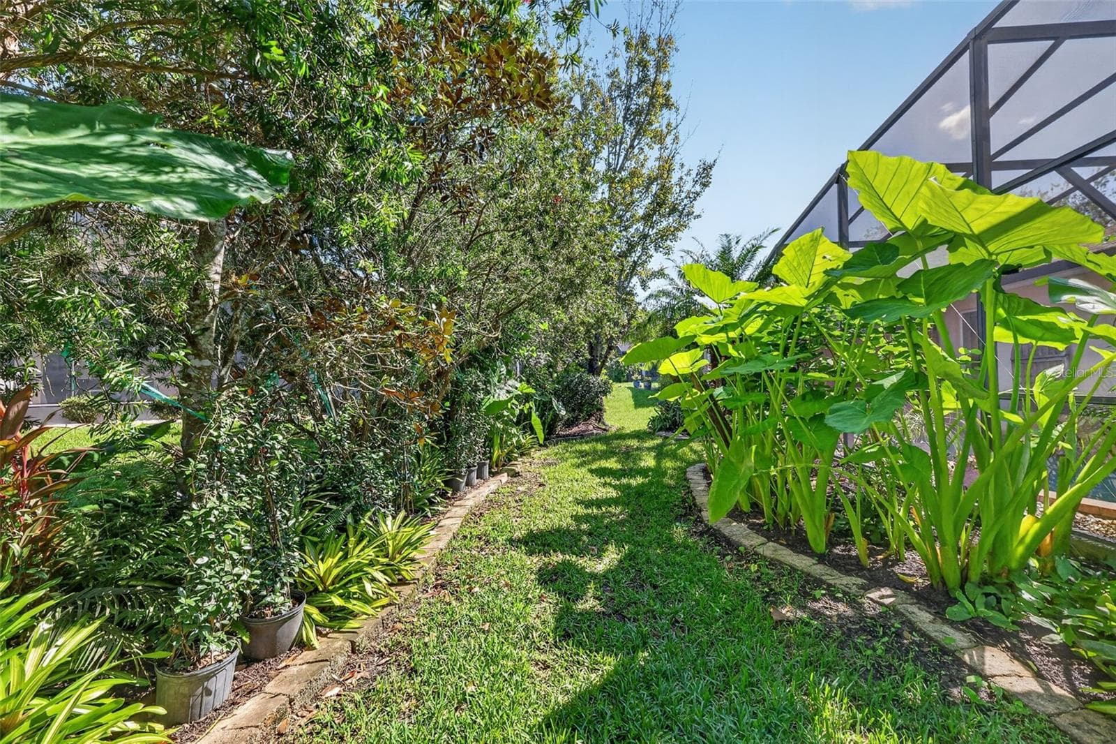 Rear Elevation with Tropical PRIVACY Landscaping! - 6121 HUNTERS RIDGE AVE, LEESBURG