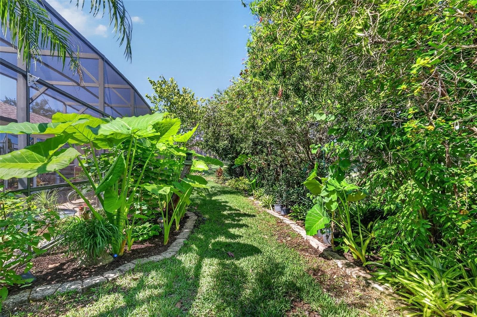 Rear Elevation with Tropical PRIVACY Landscaping! - 6121 HUNTERS RIDGE AVE, LEESBURG