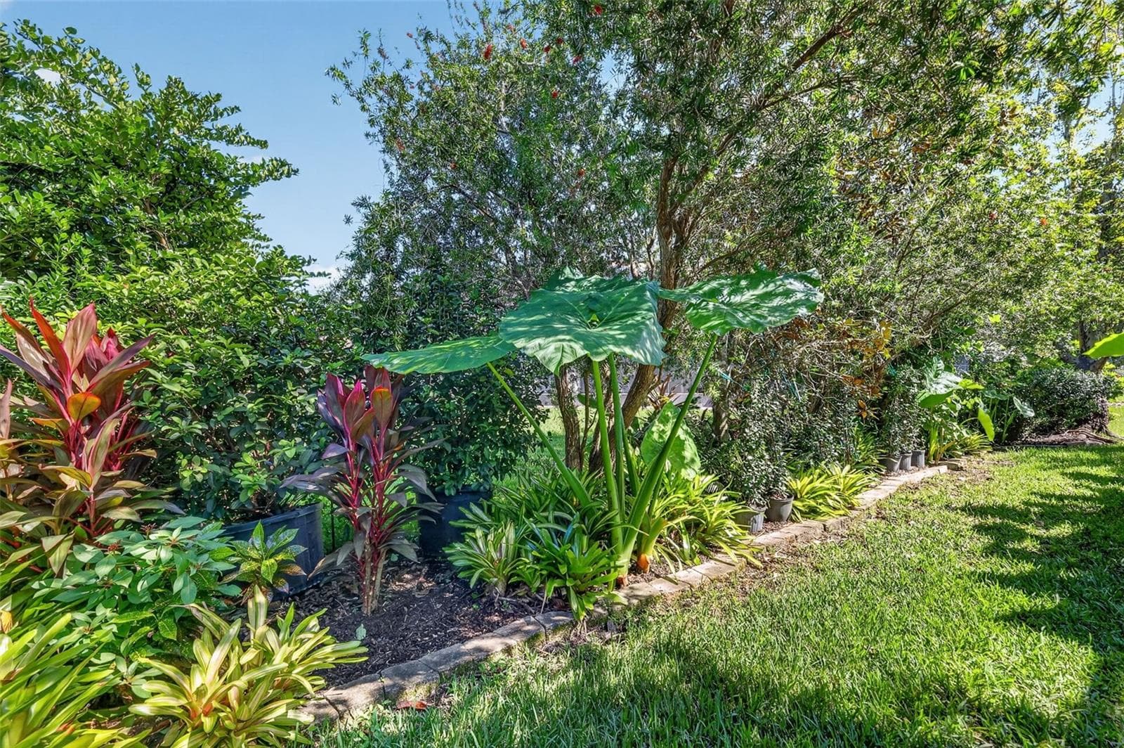Tropical PRIVACY Landscaping! - 6121 HUNTERS RIDGE AVE, LEESBURG
