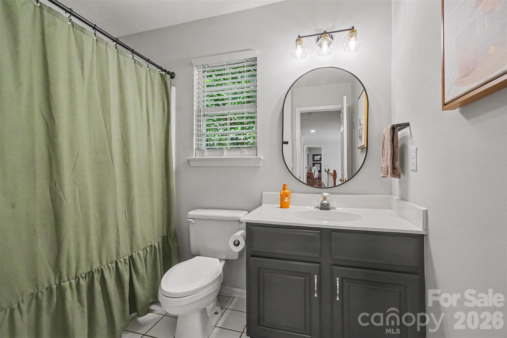 Single Family Residence at 8610 Ellington Park Drive, Charlotte, photo 22 of 29