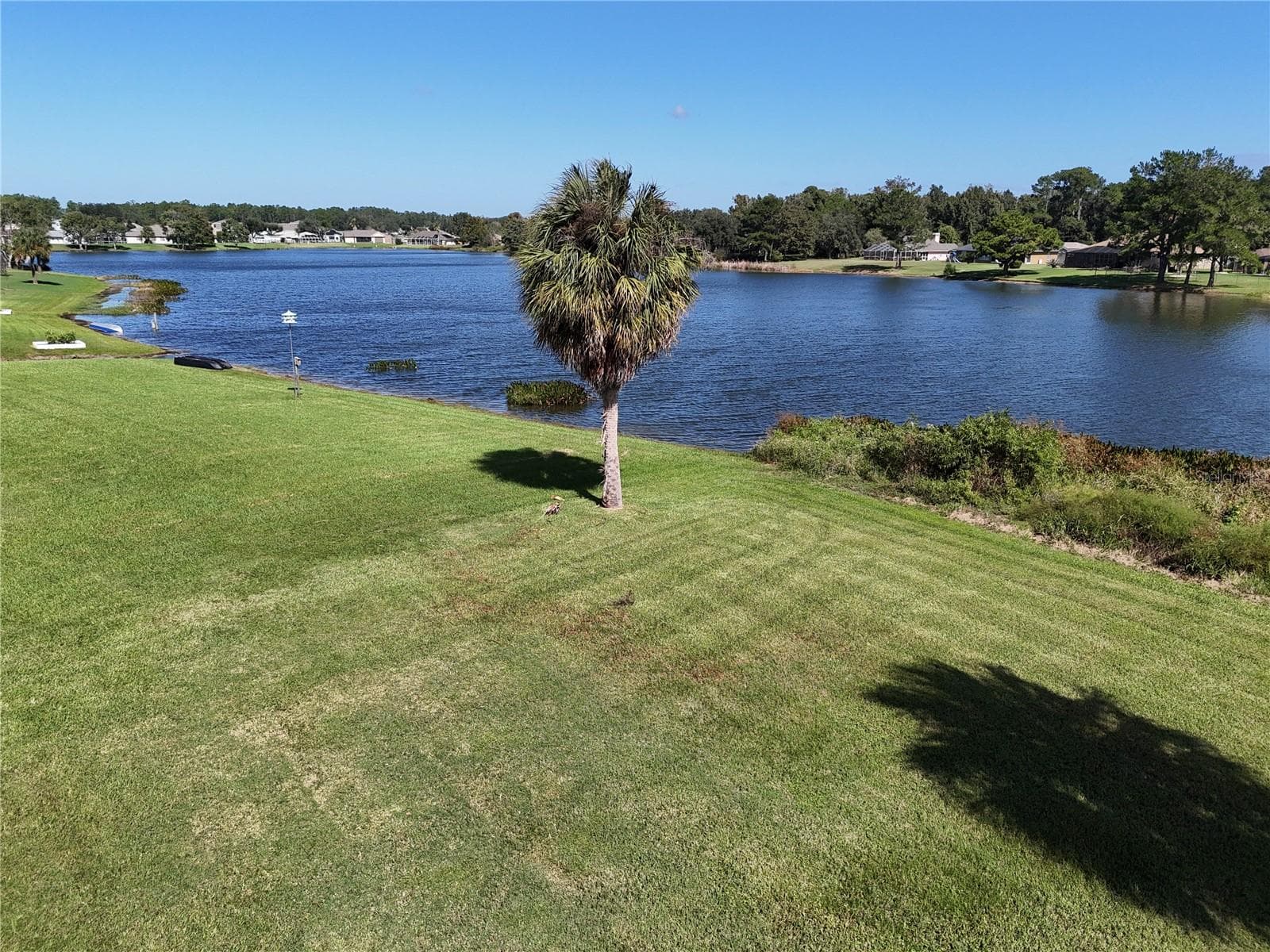 Single Family Residence at 5 HICKORY LOOP, OCALA, photo 2 of 46