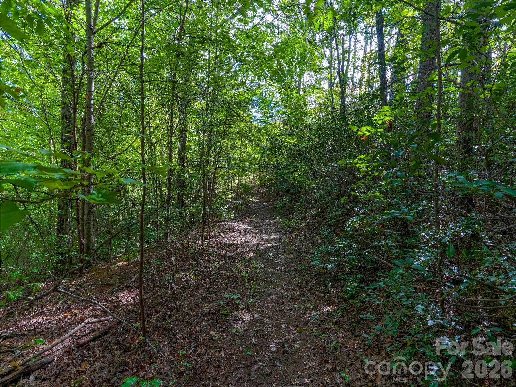 Lot at 00 Glen Hollow Road, Travelers Rest, photo 3 of 16