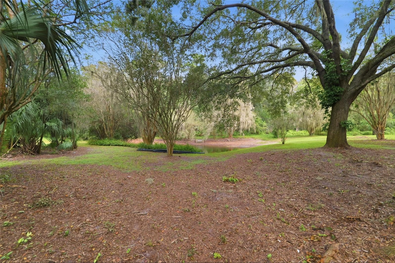 Single Family Residence at 6201 GREENWICH DR, TAMPA, photo 41 of 46