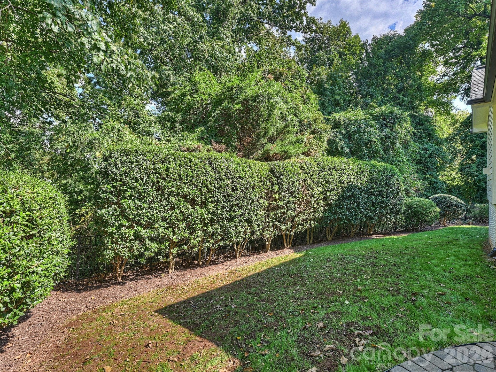 Rear Yard - 5919 Creola Road, Charlotte
