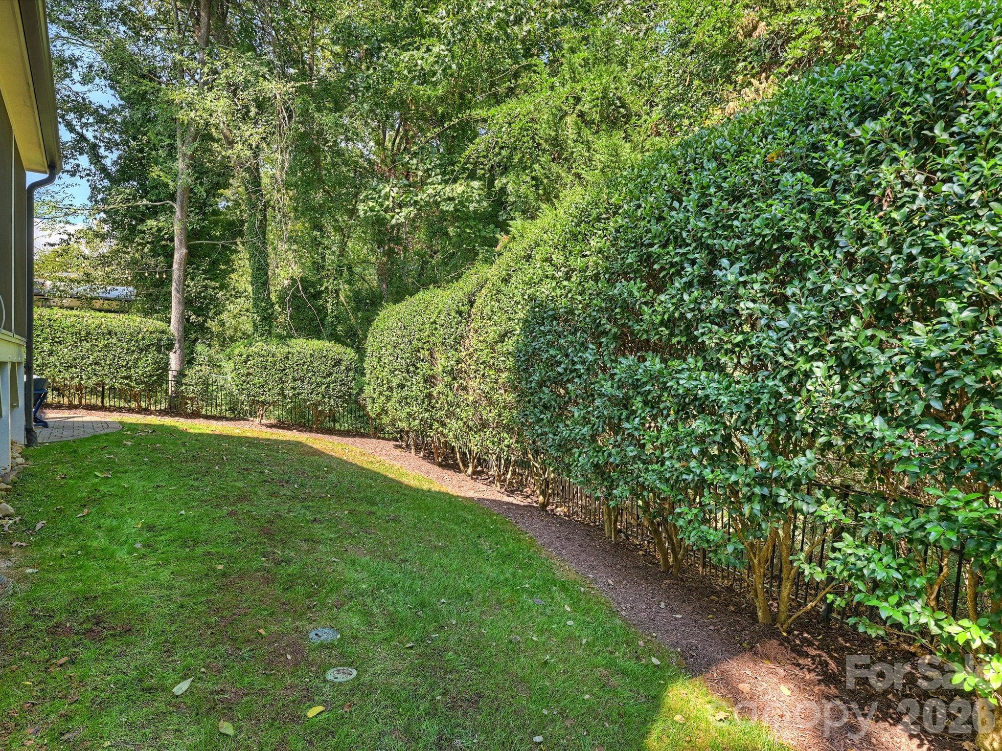 Rear Yard - 5919 Creola Road, Charlotte