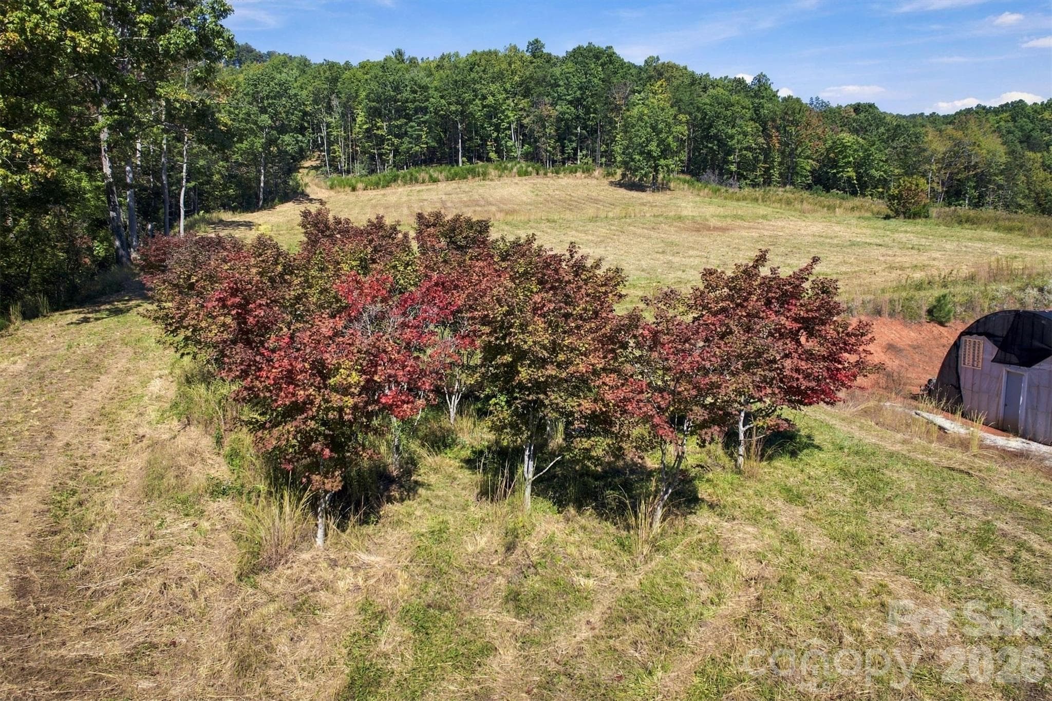 Acreage at 2305 Alfred Hartley Road, Lenoir, photo 3 of 13