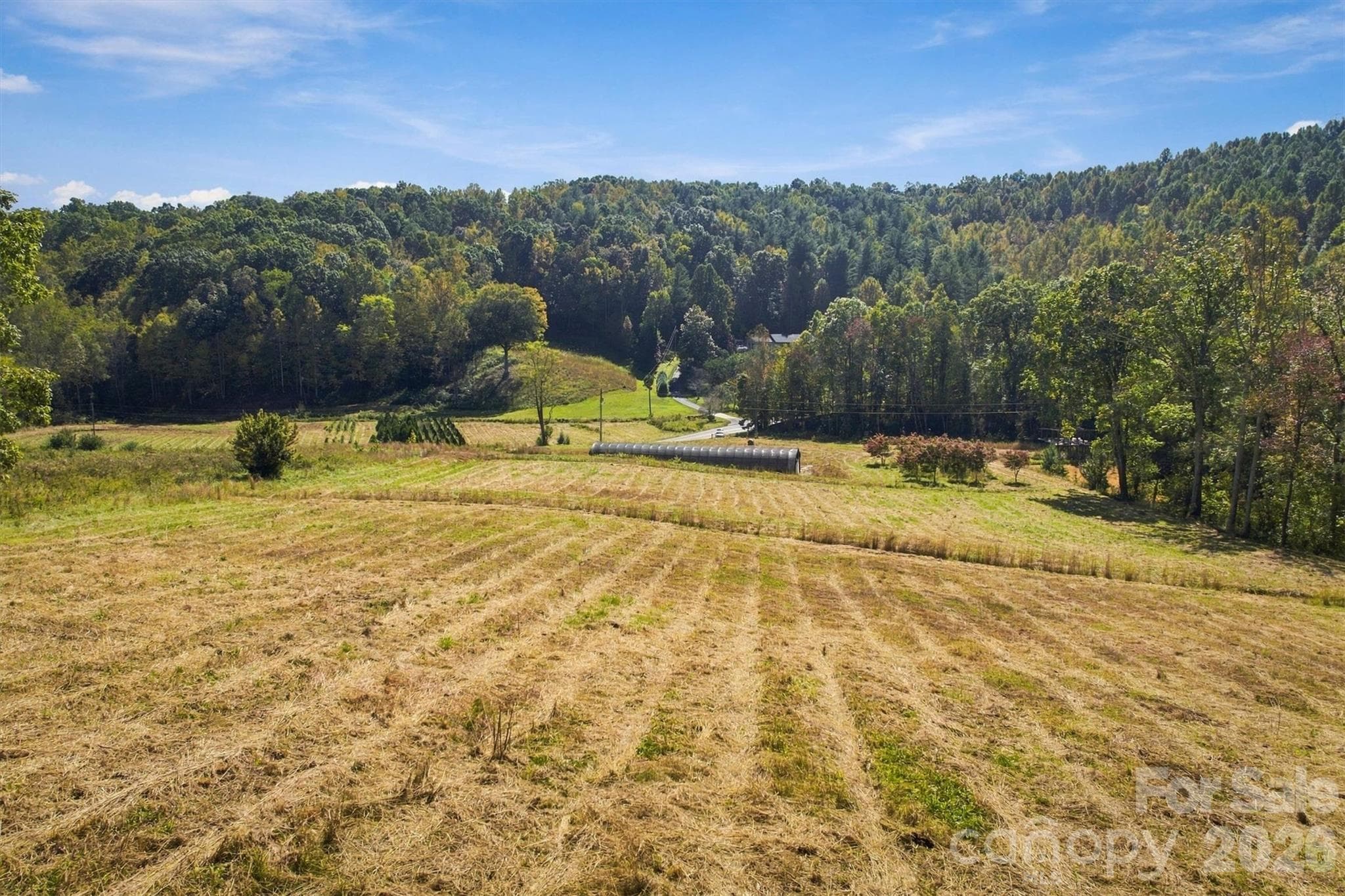 Acreage at 2305 Alfred Hartley Road, Lenoir, photo 4 of 13