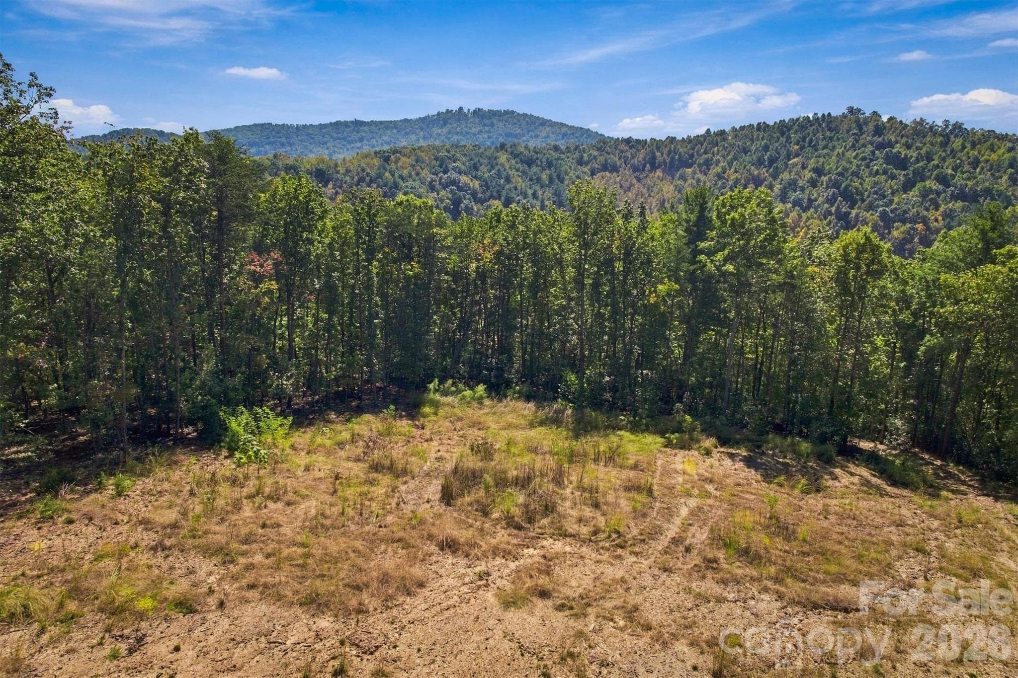 Acreage at 2305 Alfred Hartley Road, Lenoir, photo 5 of 13