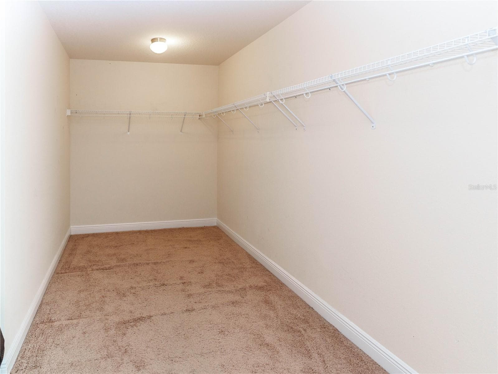 primary walk in closet - 20215 NATURES SPIRIT DR, TAMPA