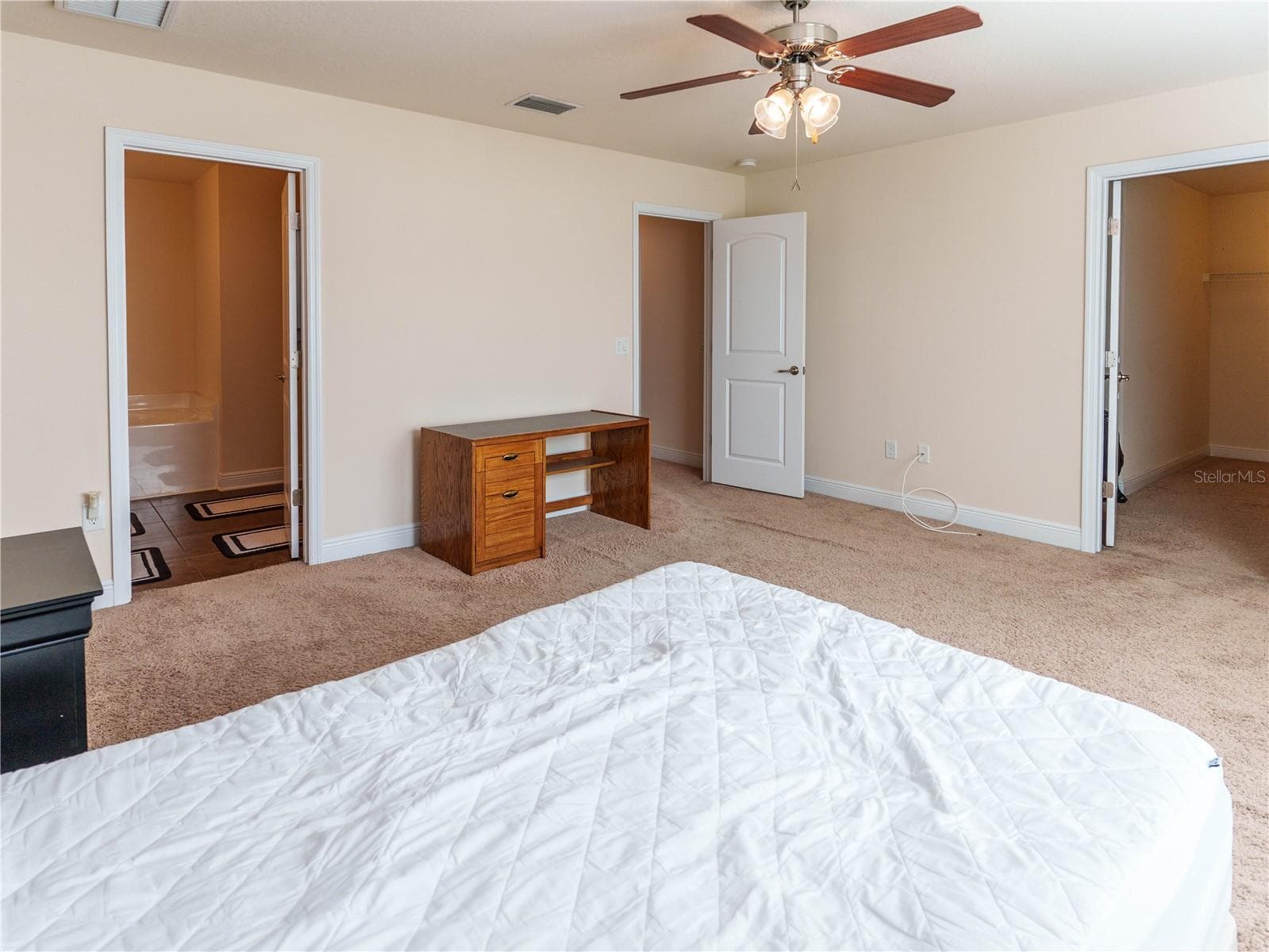 primary bedroom - 20215 NATURES SPIRIT DR, TAMPA