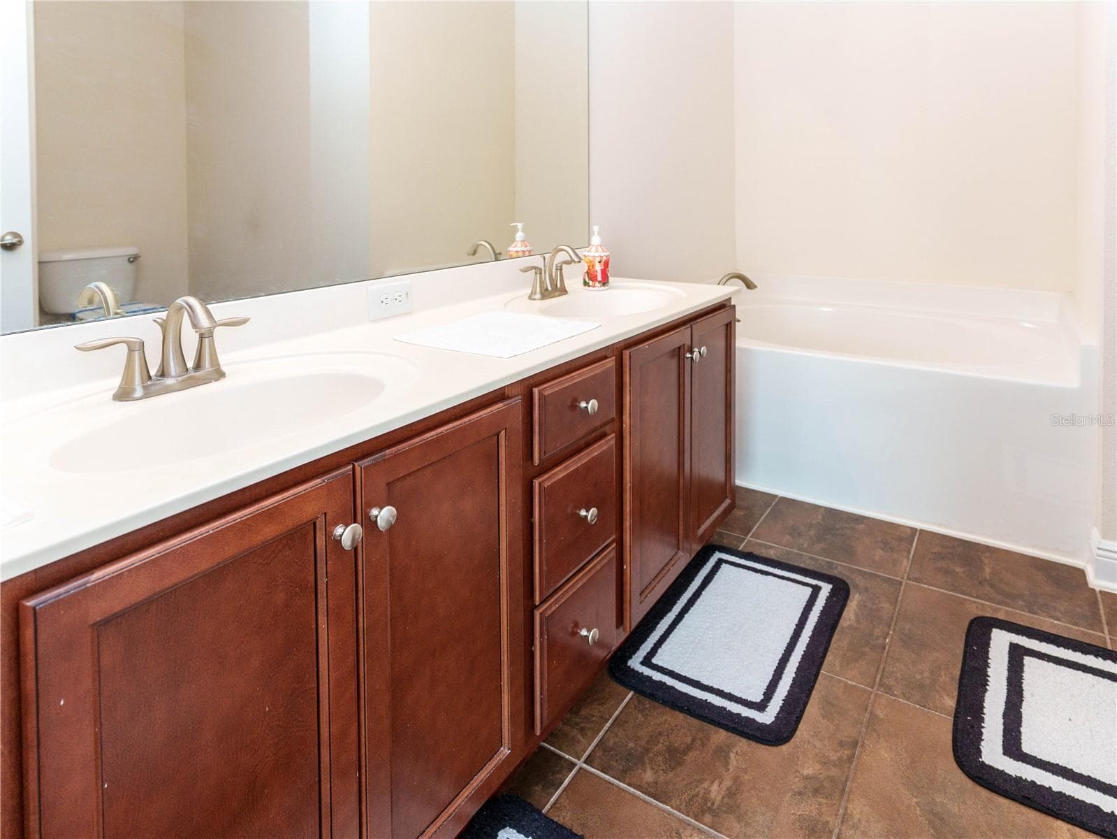 primary ensuite - 20215 NATURES SPIRIT DR, TAMPA