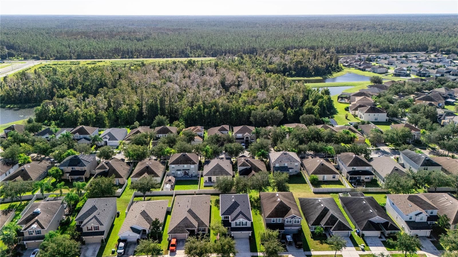 Single Family Residence at 20215 NATURES SPIRIT DR, TAMPA, photo 48 of 61