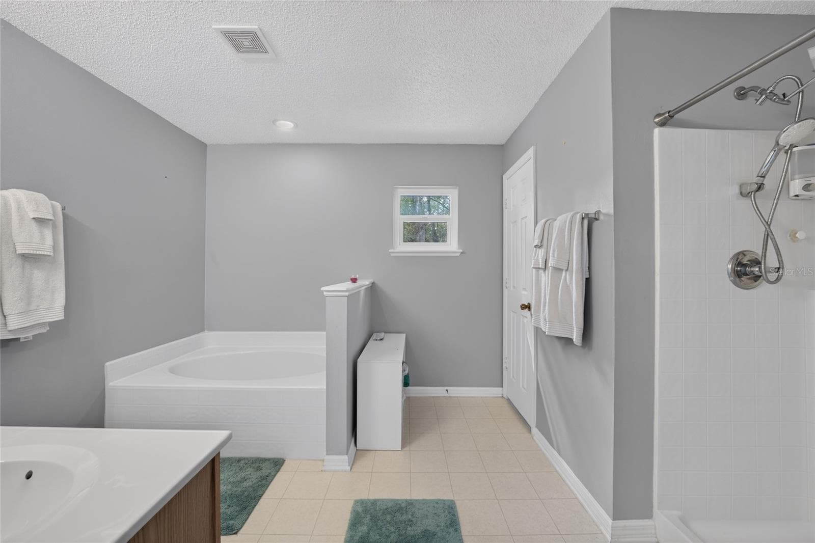 Primary Bathroom - 8364 N POCONO DR, CITRUS SPRINGS