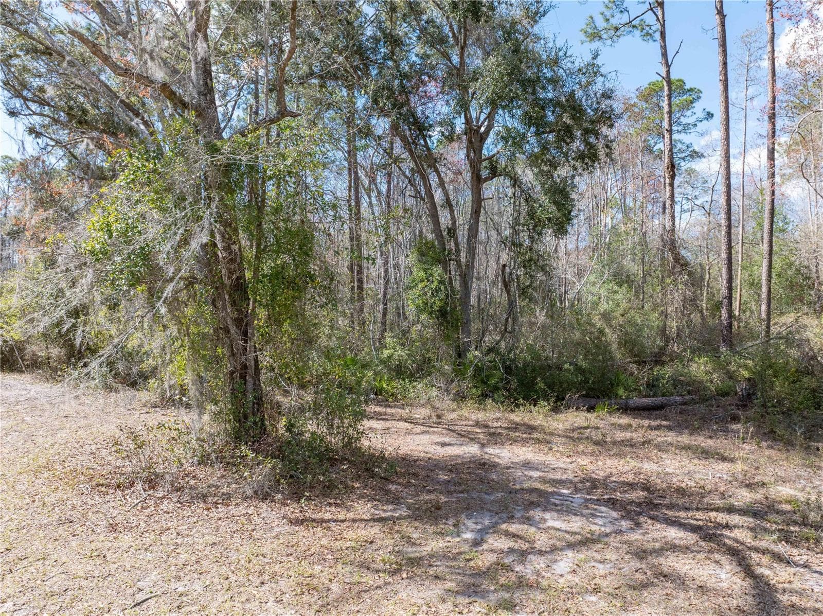 Land at 375 NW LAMAR PL, LAKE CITY, photo 3 of 6