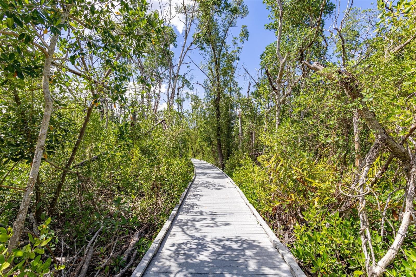 Land at 1324 NW 13TH PL, CAPE CORAL, photo 26 of 36