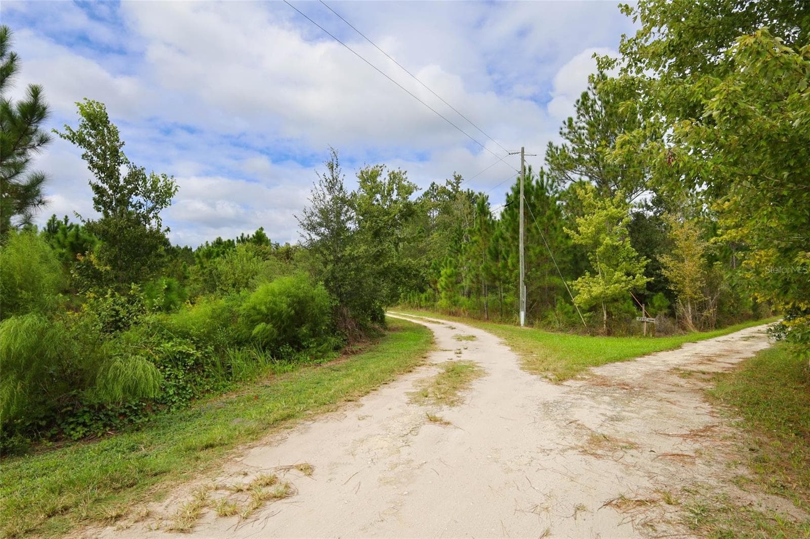 Entry Drive View - OIL WELL RD, CLERMONT