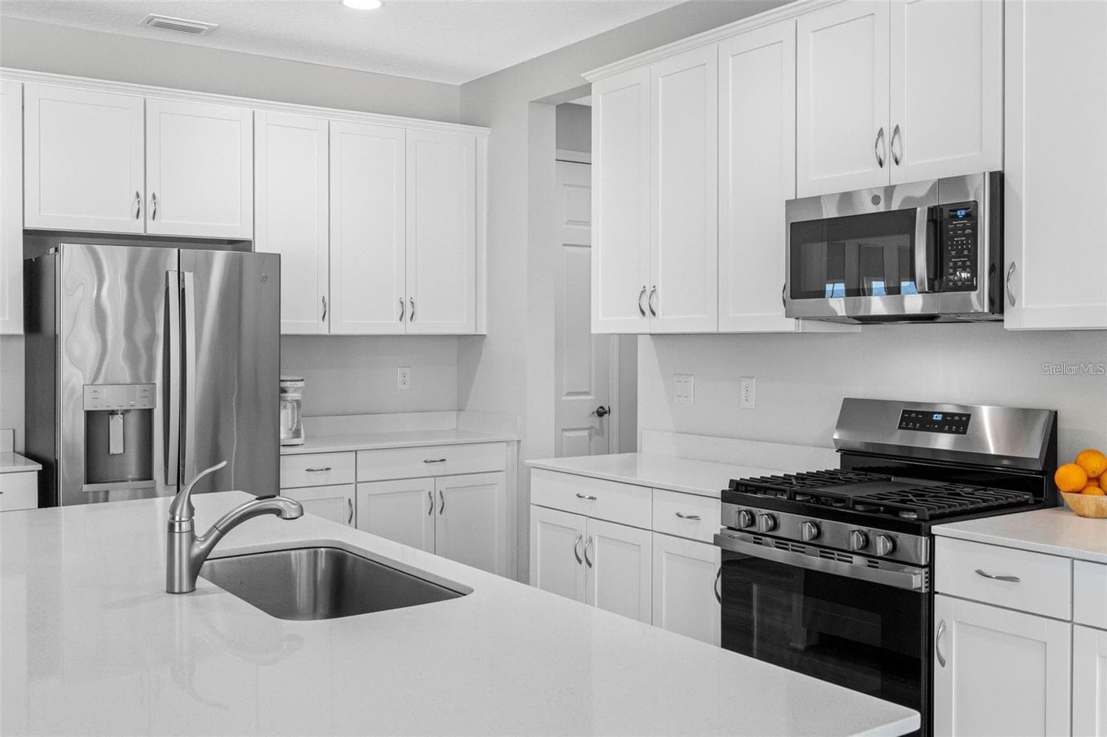 Professional gas range and stainless steel appliances - 14868 SUMMER BRANCH DR, LITHIA