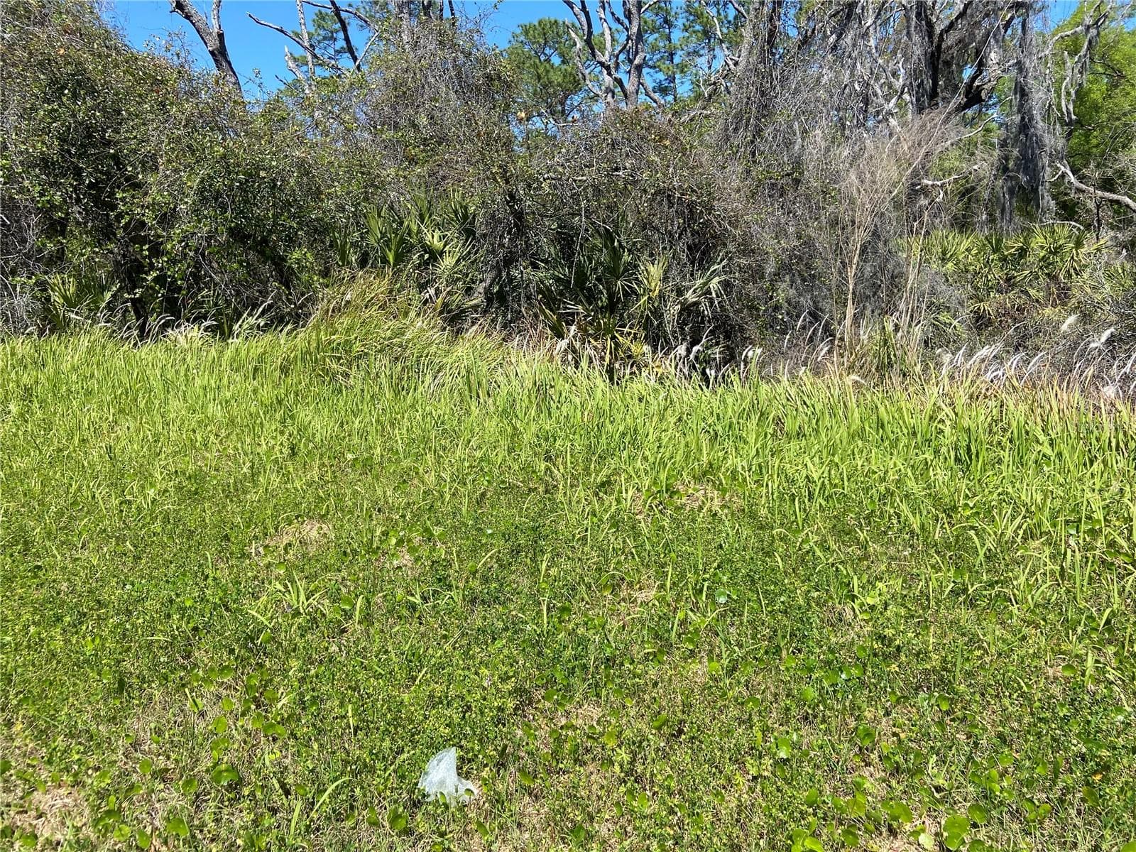 Land at PARCEL 27 15 30 00 00 0200, DE LEON SPRINGS, photo 3 of 3