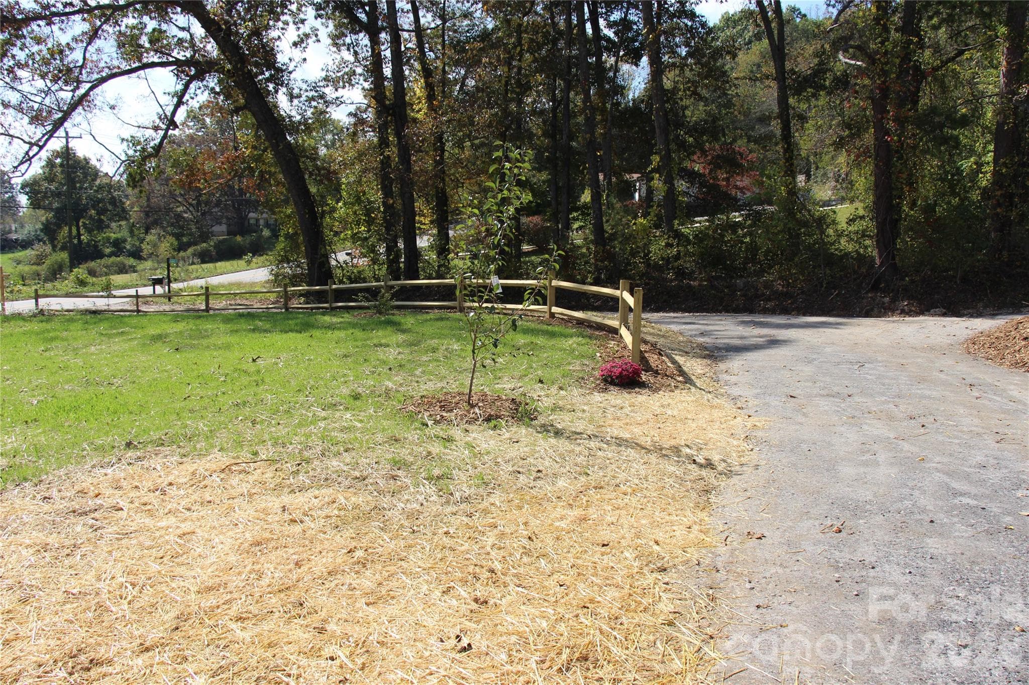 Single Family Residence at 5 Adell Drive, Fletcher, photo 10 of 37