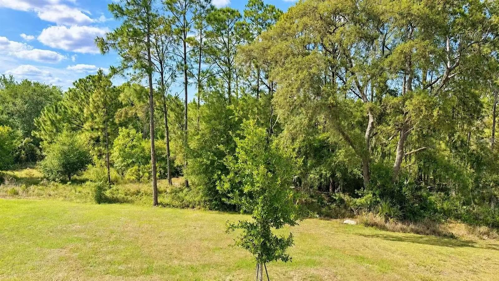 Single Family Residence at 17424 BACK BAY CT, CLERMONT, photo 31 of 34