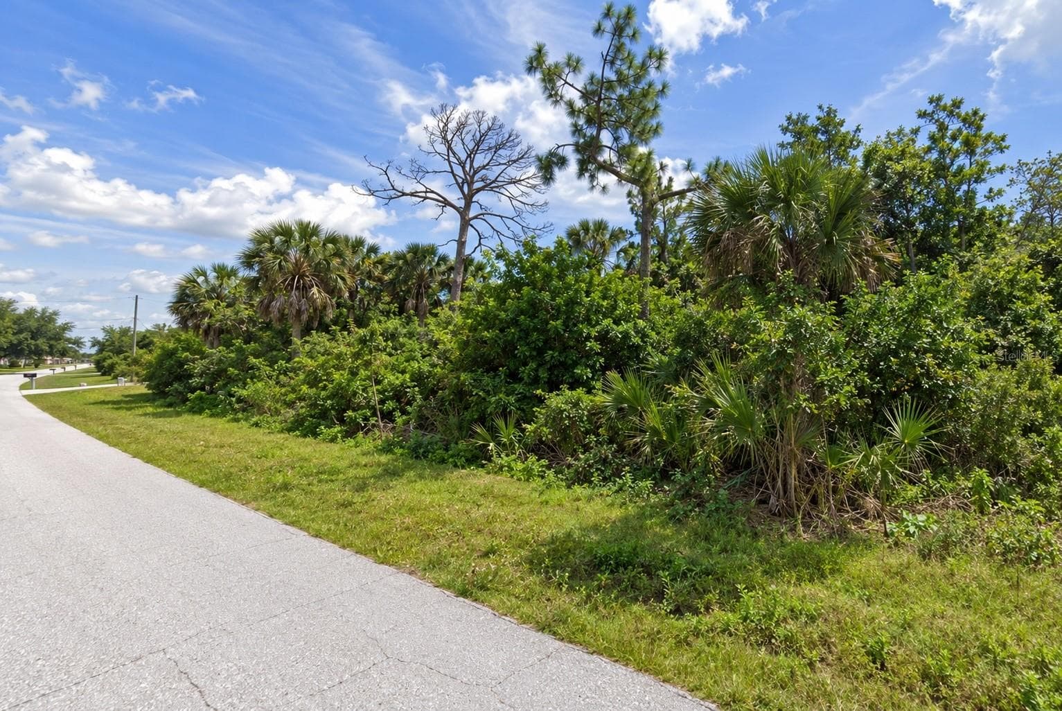 Land at 11937 XAVIER AVE, PORT CHARLOTTE, photo 2 of 3