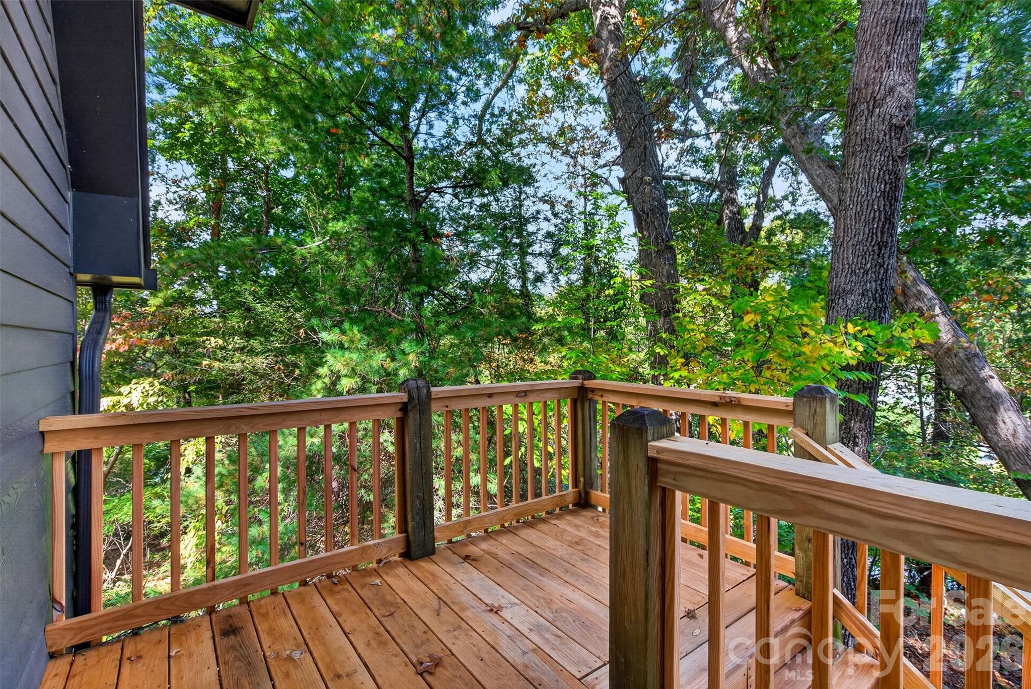 Single Family Residence at 56 Pine Cone Drive, Asheville, photo 23 of 33