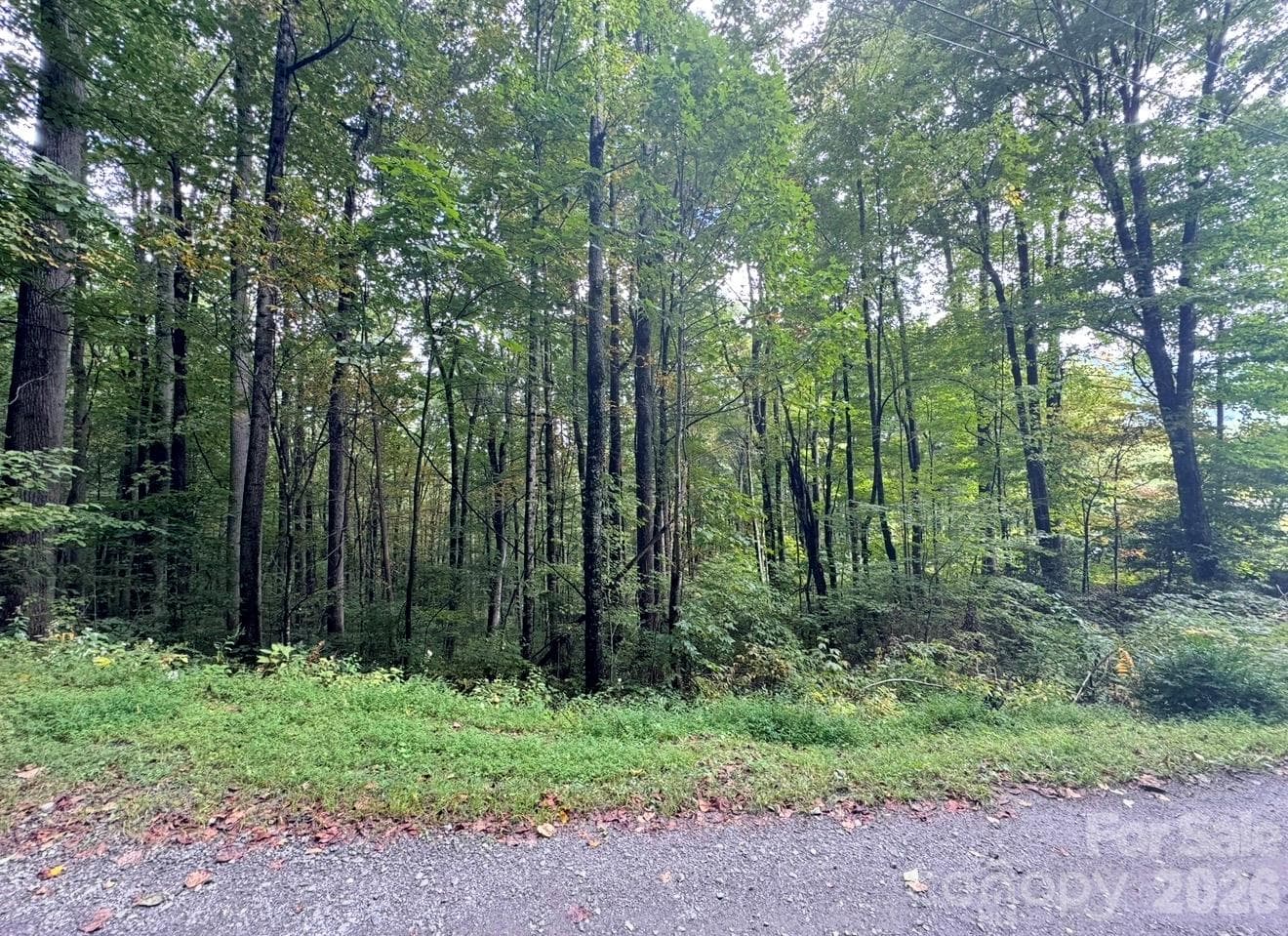 Lot at 13 Fern Trail, Waynesville, photo 2 of 3