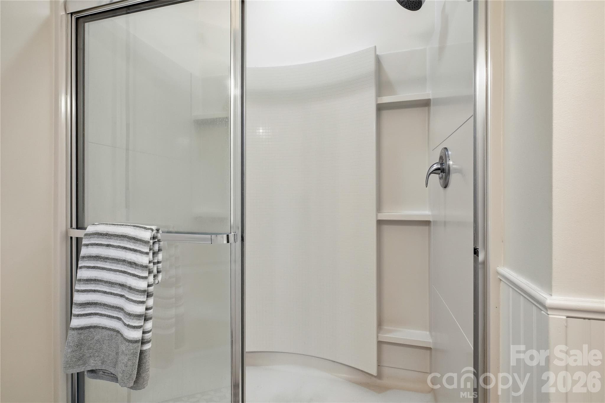 Primary bath features walk-in shower - 16918 Summers Walk Boulevard, Davidson