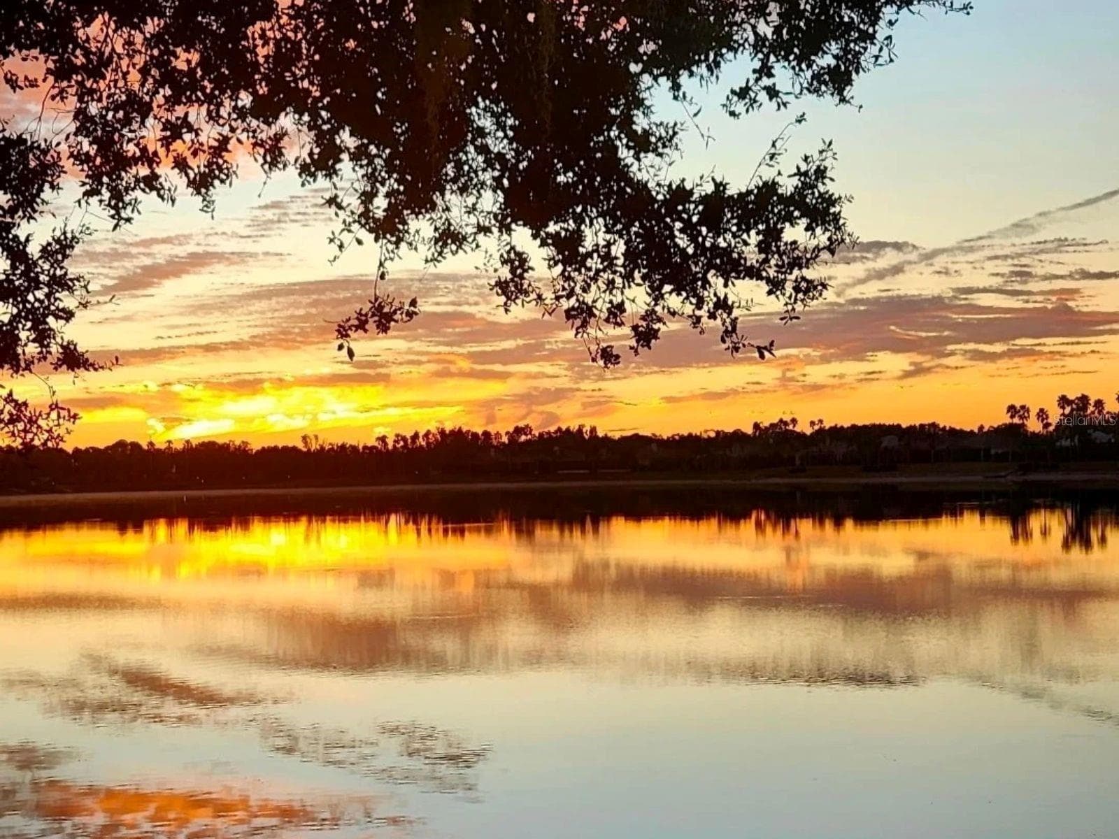 Glorious Morning Sunrises - 6527 MOORINGS POINT CIR #101, LAKEWOOD RANCH