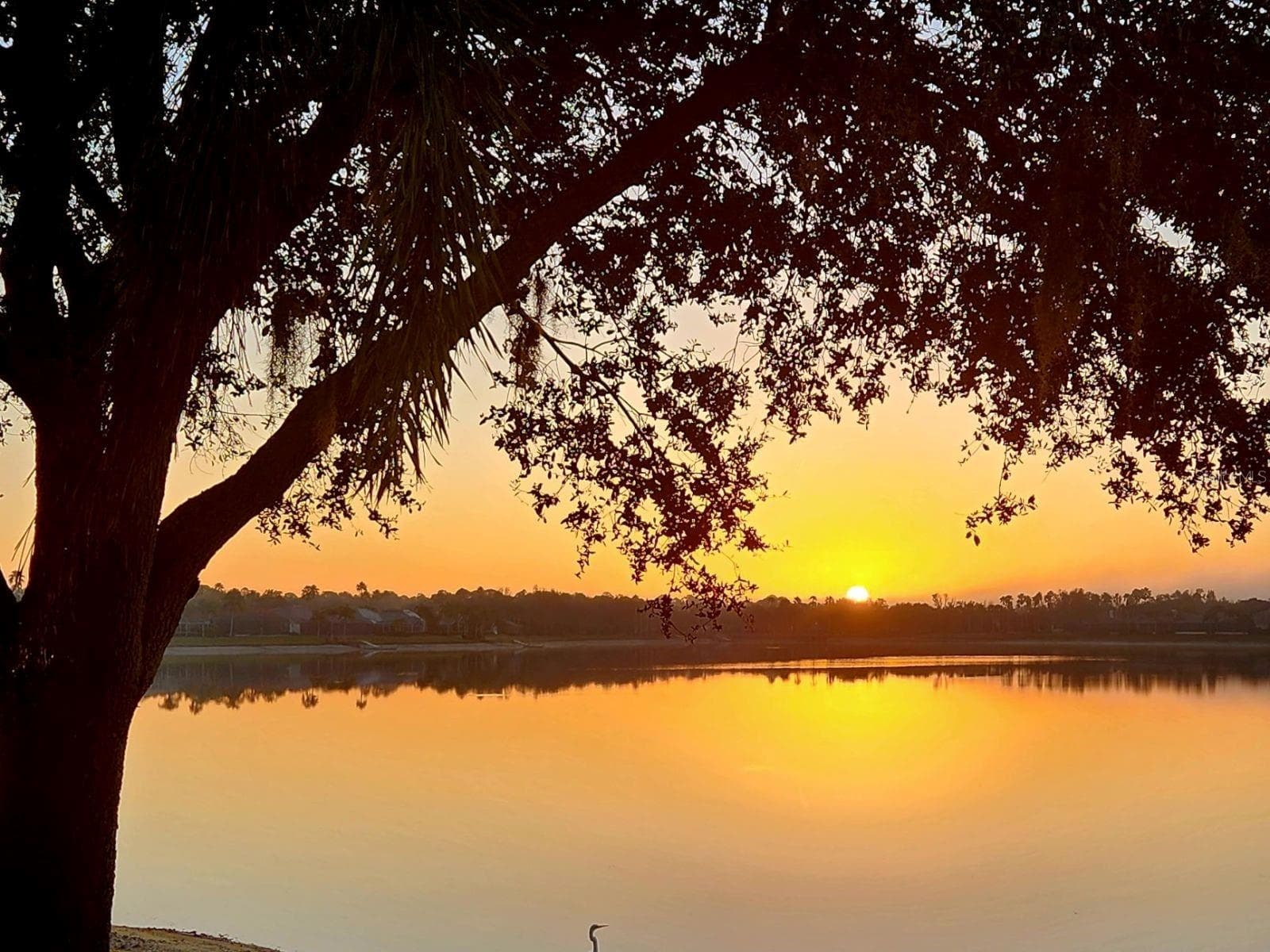 Magical Views - 6527 MOORINGS POINT CIR #101, LAKEWOOD RANCH