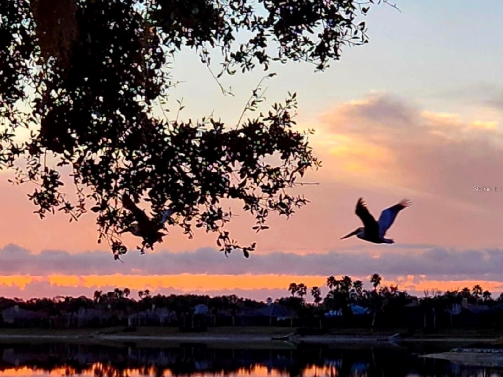Evening Skies & Bird Watching - 6527 MOORINGS POINT CIR #101, LAKEWOOD RANCH