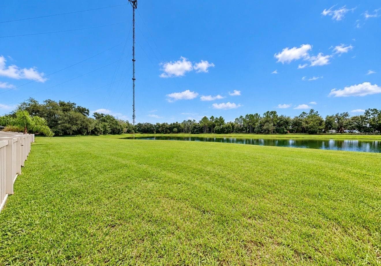 Single Family Residence at 12112 CREEK PRESERVE DR, RIVERVIEW, photo 45 of 48