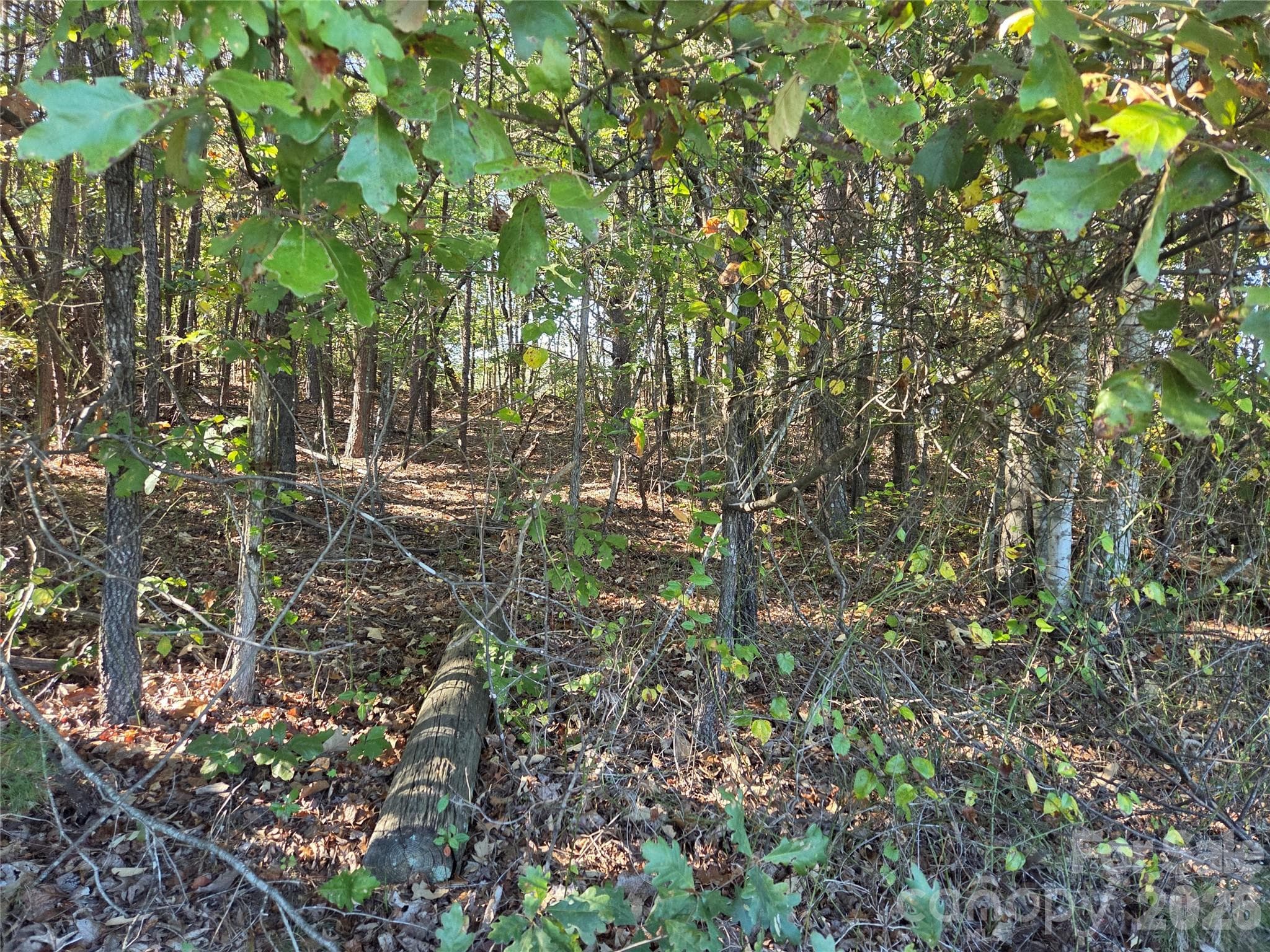 Acreage at 0 Crystal Lane, Connelly Springs, photo 4 of 9
