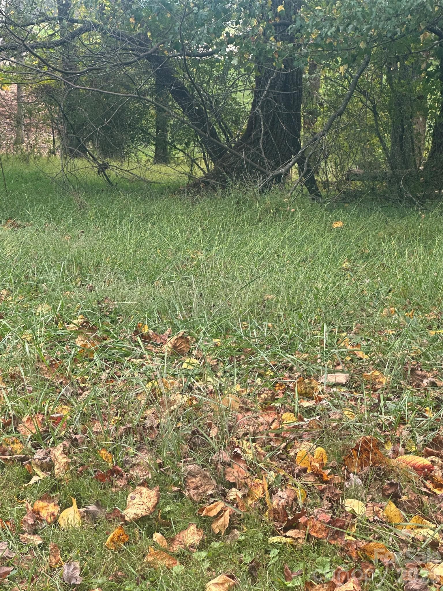 Lot 121 Friar Court