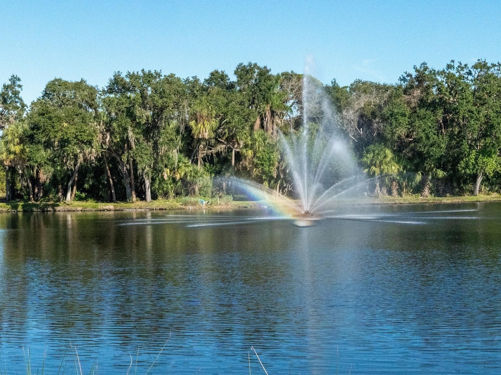 Condominium at 5214 MARSH FIELD LN #106, SARASOTA, photo 43 of 55