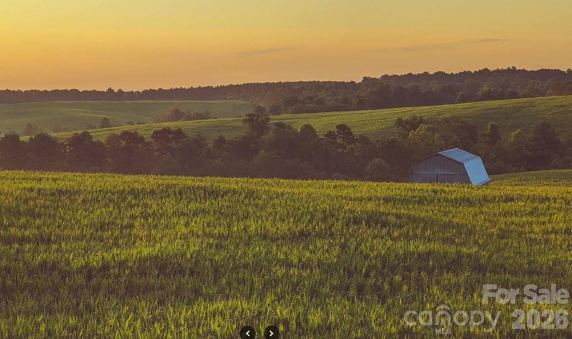 Lot at 877 Biggerstaff Loop, Nebo, photo 14 of 16