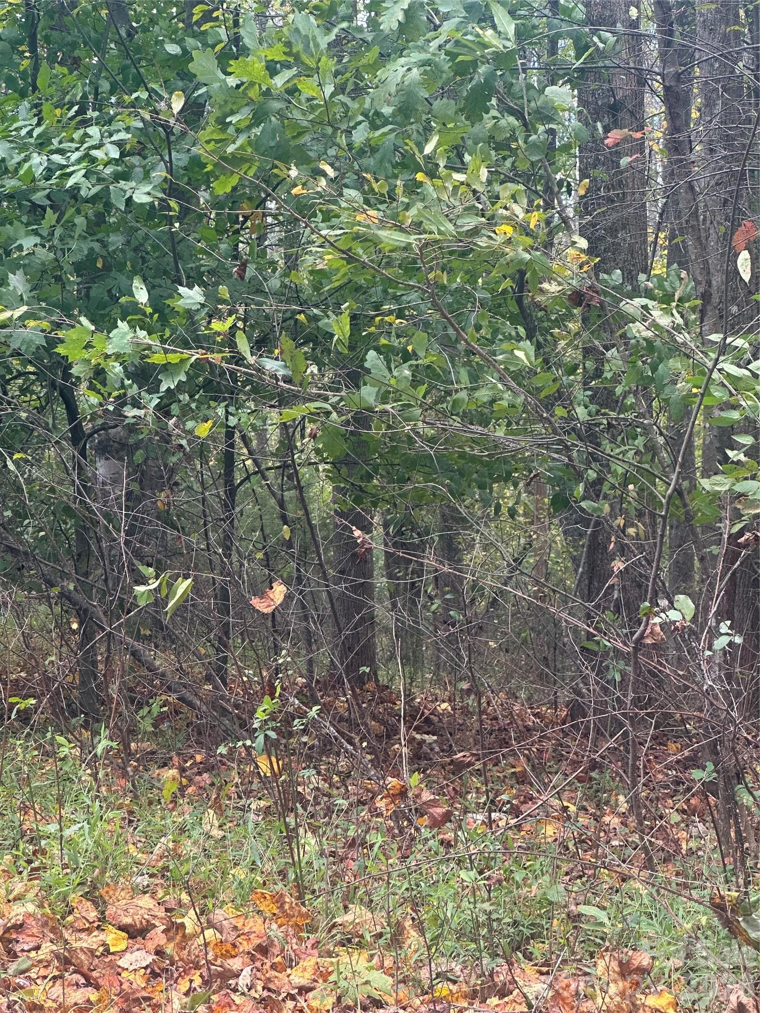 Lot 120 Friar Court