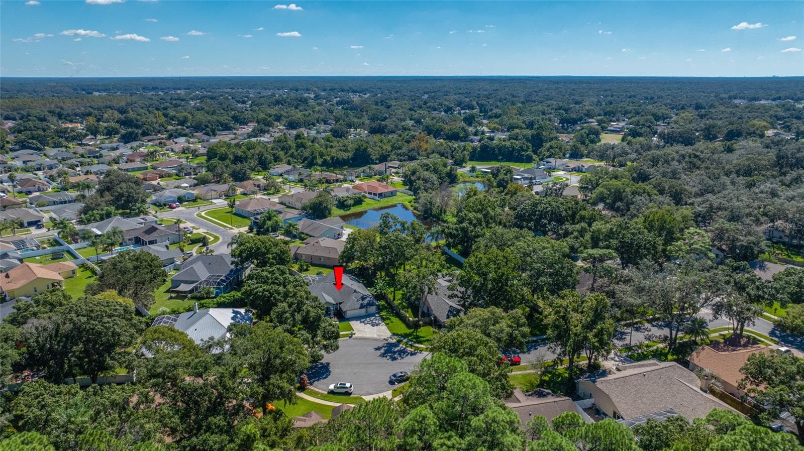 Single Family Residence at 1648 WOODRIDGE CT, LUTZ, photo 4 of 69