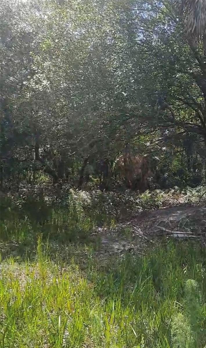 Land at 19527 NW 286TH ST, OKEECHOBEE, photo 3 of 6