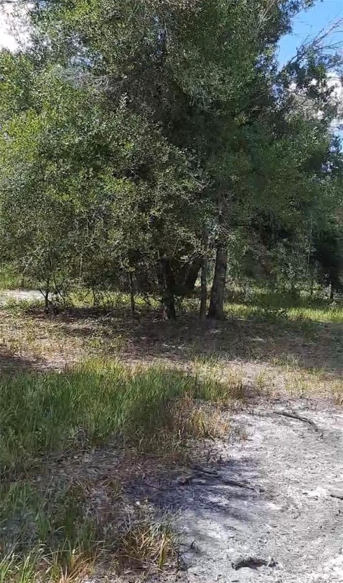 Land at 19527 NW 286TH ST, OKEECHOBEE, photo 4 of 6
