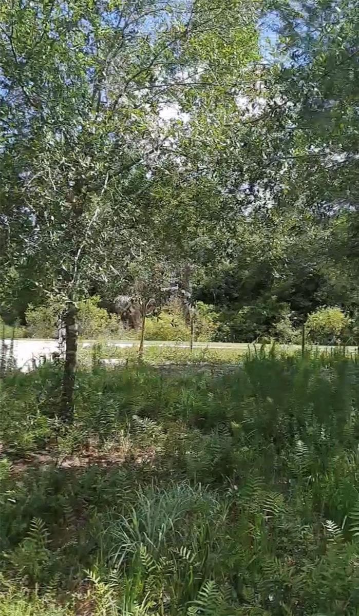 Land at 19527 NW 286TH ST, OKEECHOBEE, photo 6 of 6